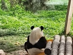 -西安秦岭野生动物园