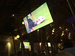 -Bamboo Bar & Grill Restaurant