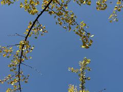 -重庆中央公园(渝北区)