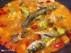 黄辣丁鲜鱼锅-小小河边鱼(天润城店)