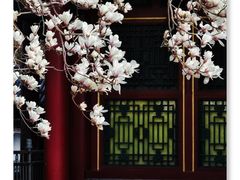 -颐和园