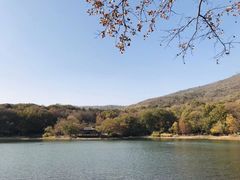 -紫霞湖公园