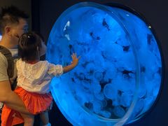 -鹿儿岛水族馆