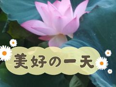 -潘塘公园