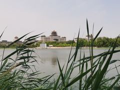 -莲花池公园