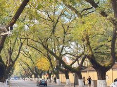-颐和路民国时期公馆风貌区