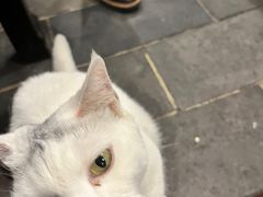 -张记牛肉面馆(天津路店)