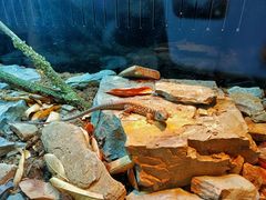 -昆明滇池国际会展中心