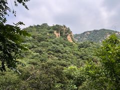 -大岭沟猕猴桃谷风景区