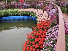 -上海鲜花港
