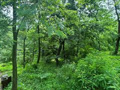 -黄椅山火山森林公园