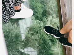 -广州长隆野生动物世界