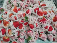 -菜园坝水果市场