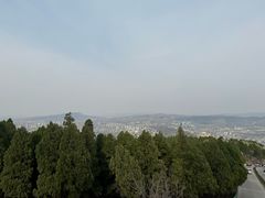 -原山国家森林公园