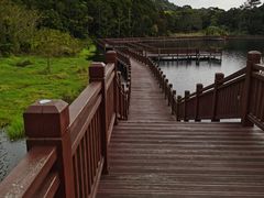 -海南热带雨林国家公园吊罗山景区