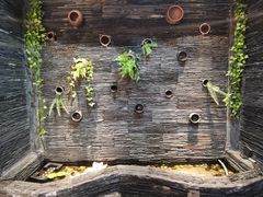 -一只烧鸡公(解放碑店)