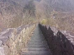 -磐安舞龙峡景区