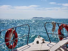 -小猫钓鱼海钓俱乐部(椰梦长廊店)