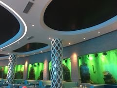-瑞德姆美人鱼海底演艺主题餐厅(亚龙湾店)