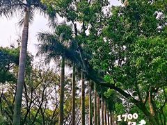 -西湖公园(鼓楼区)