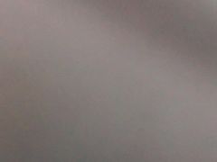 -金狮饼店(关闸马路店)