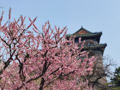 -北京明城墙遗址公园