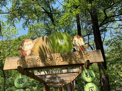-大岭沟猕猴桃谷风景区