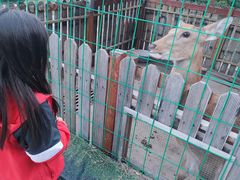 -瑞阁温泉酒店温泉中心
