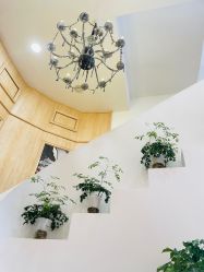 -薇咖映画婚纱摄影工作室