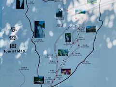 -王顺山国家森林公园