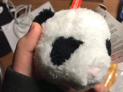 -成都恒博医院·全科检查