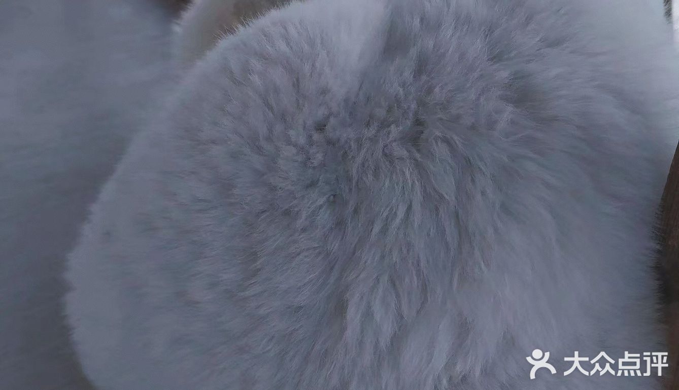 哈尔滨｜冰雪大世界