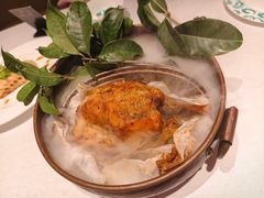 -桂满陇·海市蜃楼·黑金(国金店)