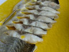 鸡汁大白鱼-食悦江南·淮扬菜·烤鸭(亚运村·惠新店)