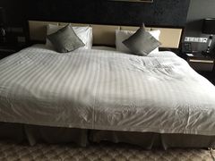 -常州环球恐龙城维景国际大酒店