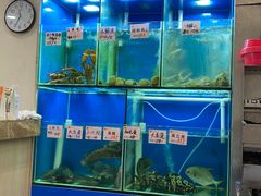 水产区-华峰食馆(氹仔店)