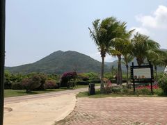 -亚龙湾国际玫瑰谷
