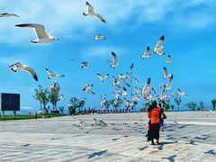 -东港音乐喷泉广场