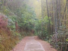 -缙云山景区