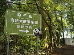 -中国大熊猫保护研究中心雅安碧峰峡基地