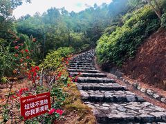-汕尾铜鼎山旅游区