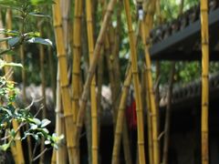 -同庆堂(解放北路店)