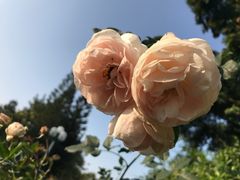 -人民公园(罗湖区)