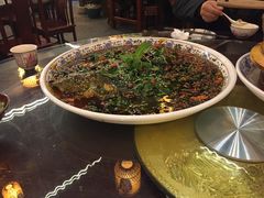 -杨记隆府(南坪店)