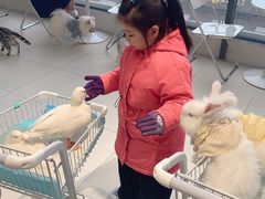 -怪兽屋·羊驼·猫咖·狗咖(俊华广场店)