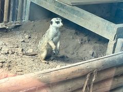 -西安秦岭野生动物园