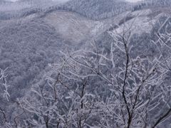 -四明山国家森林公园