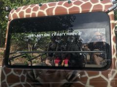 -清迈夜间动物园