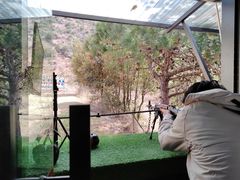 -猎鹰谷实弹射击俱乐部