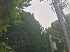 -广东涂记烧鹅饭(武汉天地店)